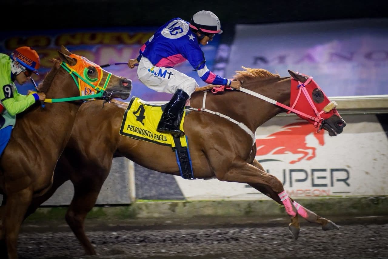 Peligrosita Eagle Reigns Supreme in the Subasta Selecta Futurity-RG2