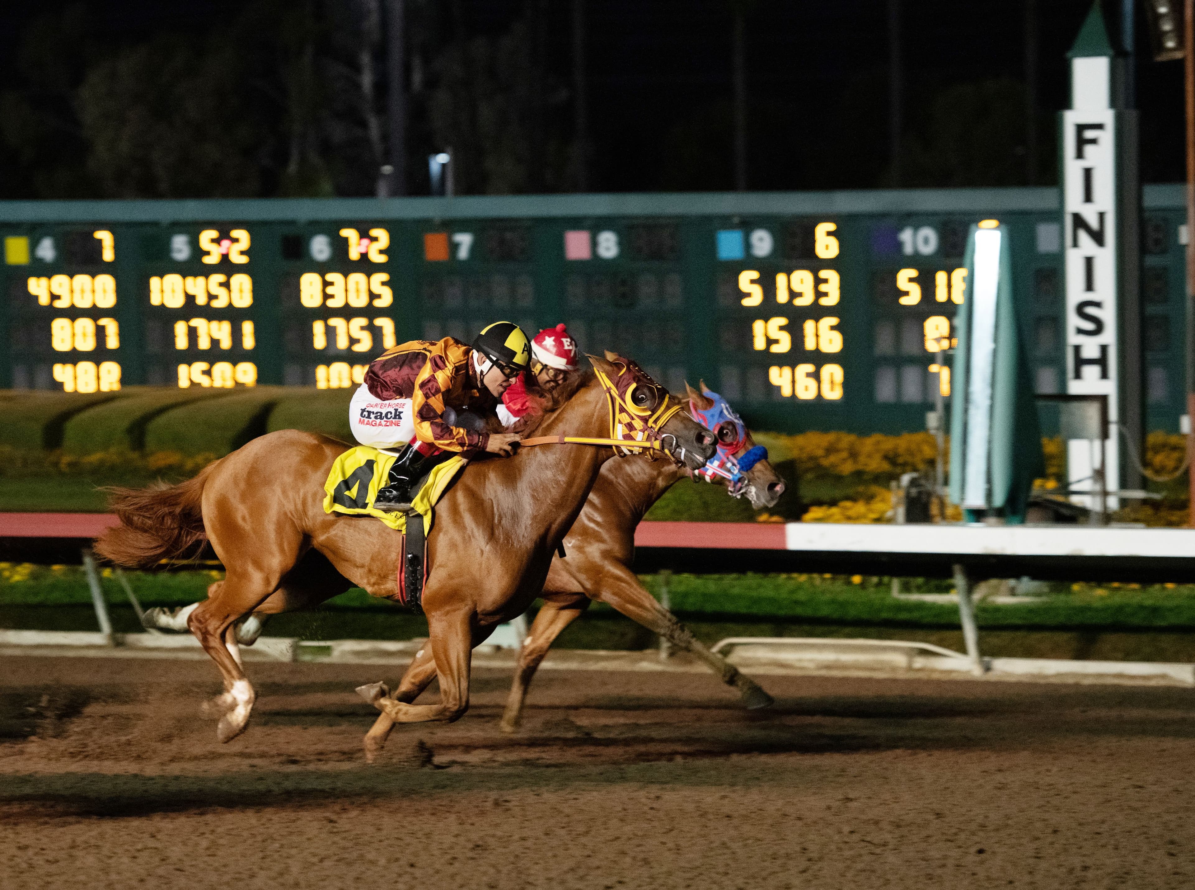 CV FDDDINASTY SHAN, CONTENTIOUS AMONG 59 JUVENILES RACING IN THE PCQHRA BREEDERS FUTURITY TRIALS