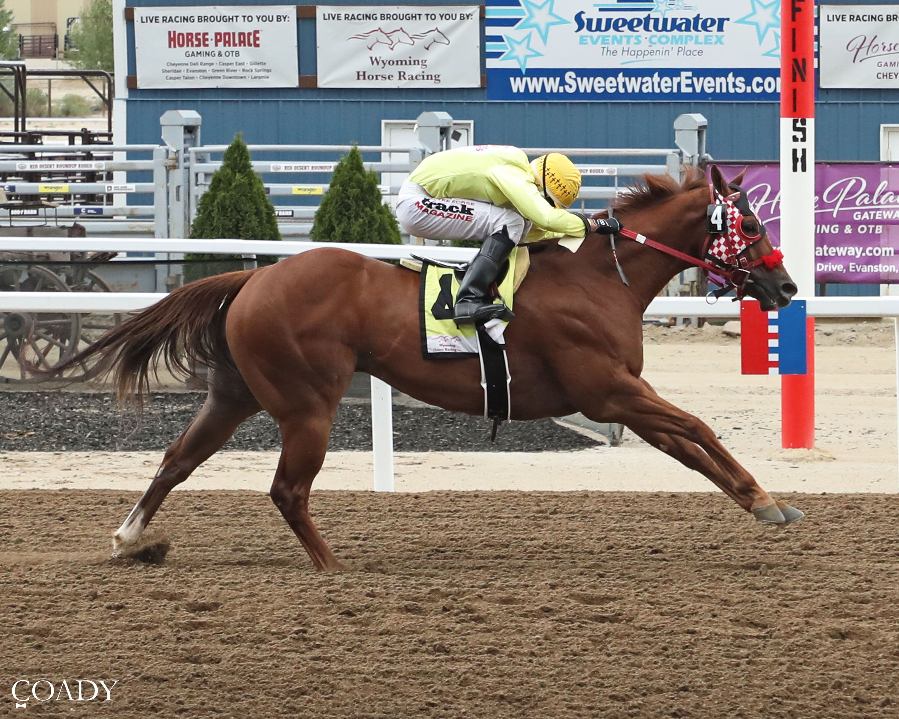 Hard To Politic Tops Sweetwater Downs Maturity Qualifiers