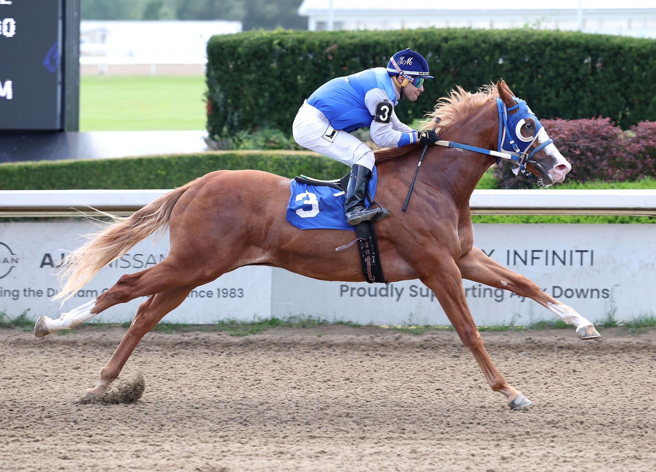 Stolen Ivory S Dash Tops Ontario Sires Stakes Futurity Qualifiers