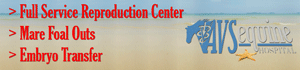 www.avsequinehospital.com/