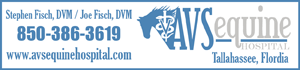 www.avsequinehospital.com