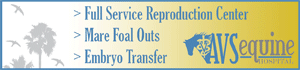   www.avsequinehospital.com