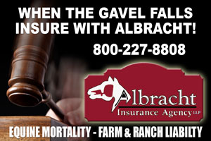   www.albrachtinsurance.com