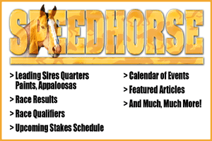   www.speedhorse.com