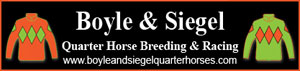   www.boyleandsiegelquarterhorses.com