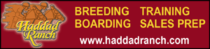   www.haddadranch.com