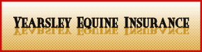 www.yearsleybloodstockgroup.com
