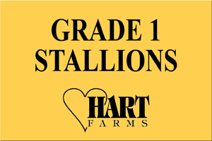   www.hartfarms.net