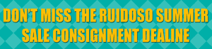 www.ruidososelectyearlingsale.com/