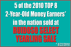  www.ruidososelectyearlingsale.com