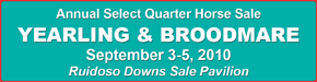 www.ruidososelectyearlingsale.com