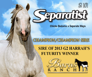 www.stallionesearch.com/show_stallion.asp?horse=207