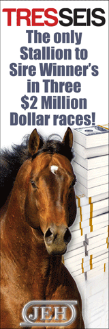 www.stallionesearch.com/show_stallion.asp?horse=92