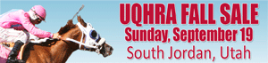   www.uqhra.com