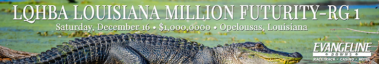 Louisiana LQHBA MILLION RG1