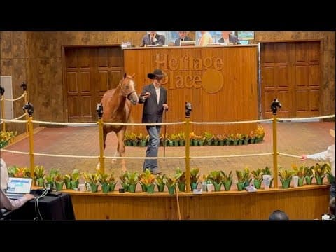 2025 Heritage Place Yearling Sale: Session 3 Recap (VIDEO)
