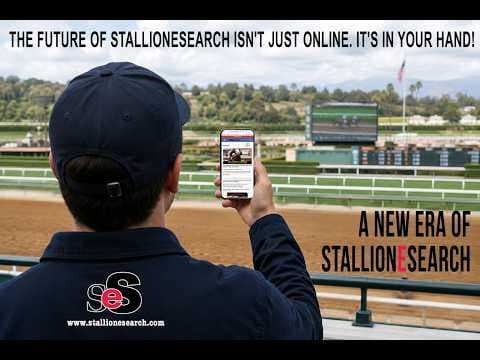 StallioneSearch.com Launches Next-Generation Website for Quarter Horse Racing Industry