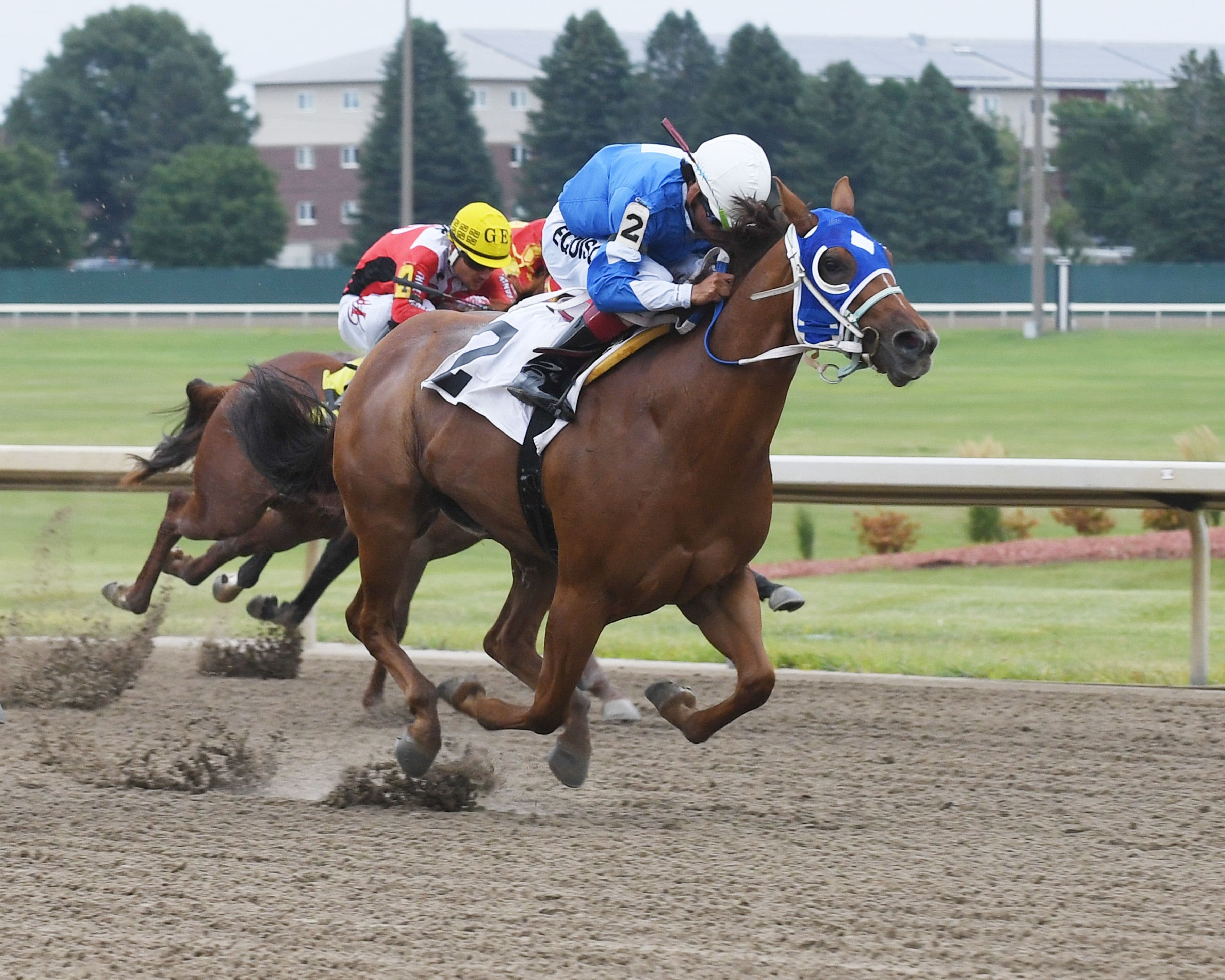 Iowa-Bred Juveniles Chase $75,650 Iowa Stallion QH Futurity Crown Friday At Prairie Meadows
