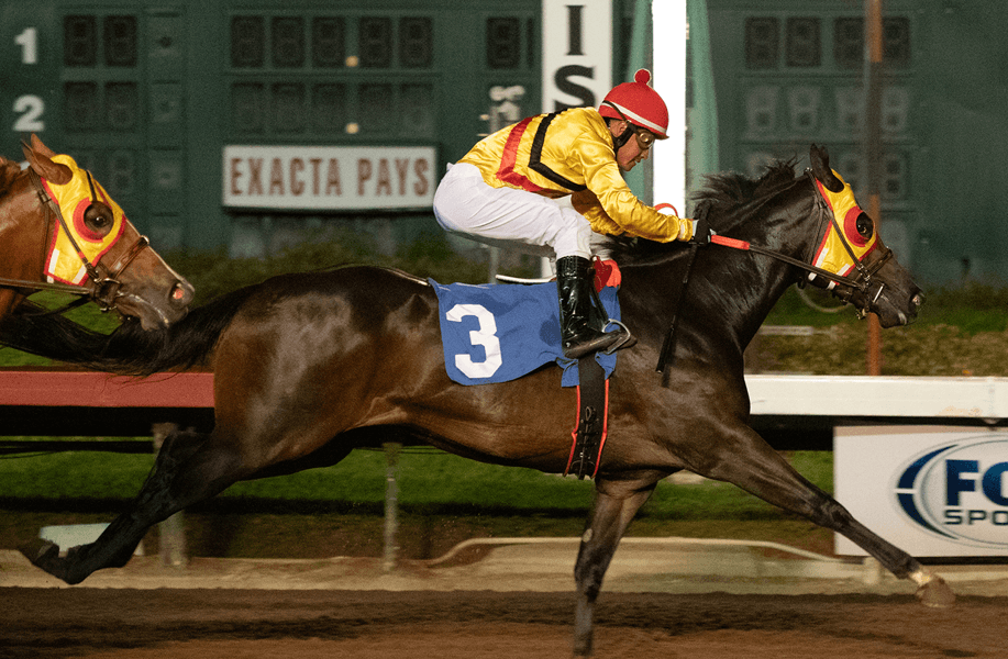 Emperador D Heads Solid Field Of Eight In Los Alamitos Claiming Futurity