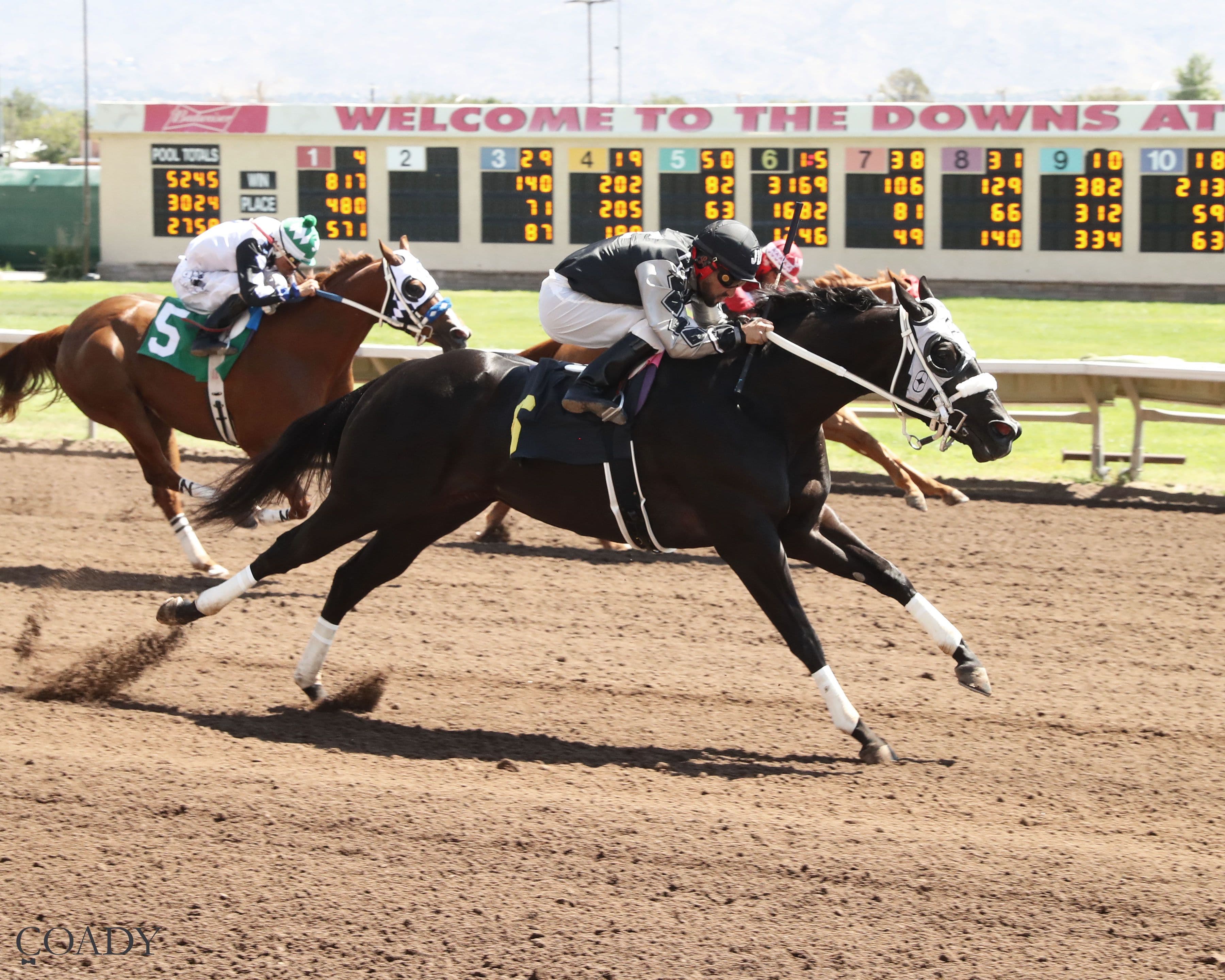 Top Grade 1 Finalist Curl Happy Wagon To Make Her 2026 Debut