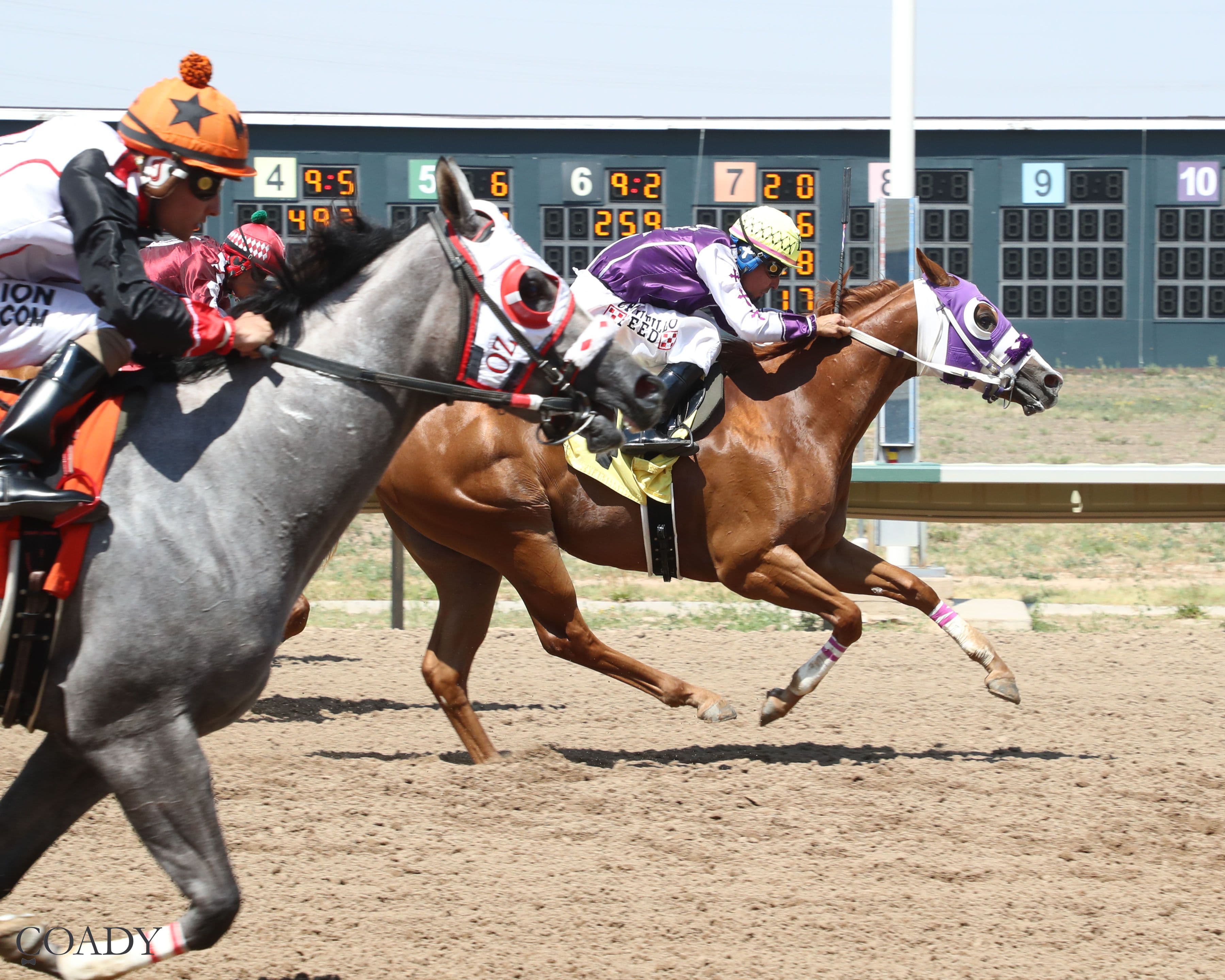 Arapahoe Park Closes 2026 Meet With Mile High Futurity, Derby And Rocky Mountain Championship
