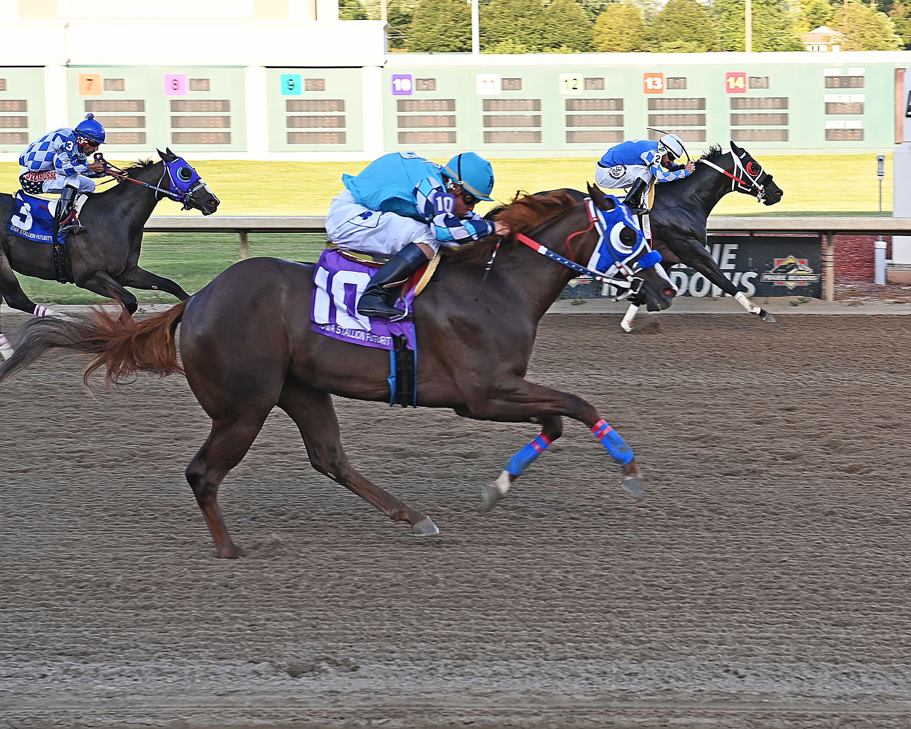 Iowa-Bred Sophomores Take Center Stage In The $57,575 Iowa Stallion Derby