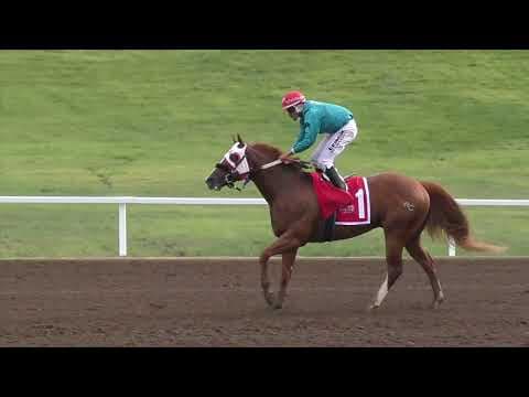 StallioneSearch BOCO Futurity and Bluegrass Derby Trial Recap Coverage (VIDEO)