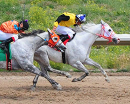 fontainebleau racing results fontainebleau racing results