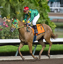 クリスタル　Running Horse Running Horse In Optical Crystal — Vermont Awards & Engraving